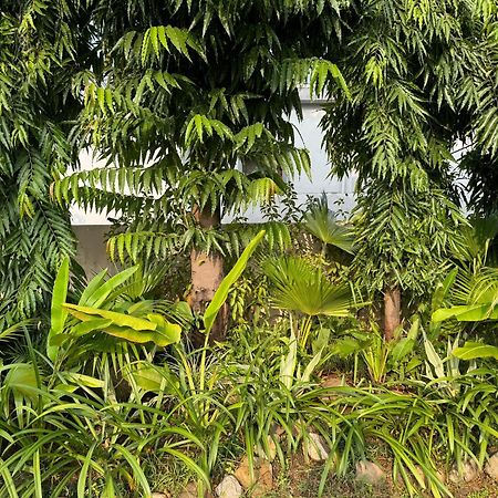 The Bougainvillea Cottage Farmstay Near Dehradun , 2 Bedroom Private Cottage Next To Fields And Orchards With Hill Views Extérieur photo
