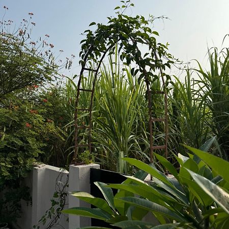 The Bougainvillea Cottage Farmstay Near Dehradun , 2 Bedroom Private Cottage Next To Fields And Orchards With Hill Views Extérieur photo