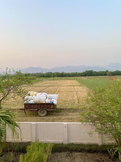 The Bougainvillea Cottage Farmstay Near Dehradun , 2 Bedroom Private Cottage Next To Fields And Orchards With Hill Views Extérieur photo