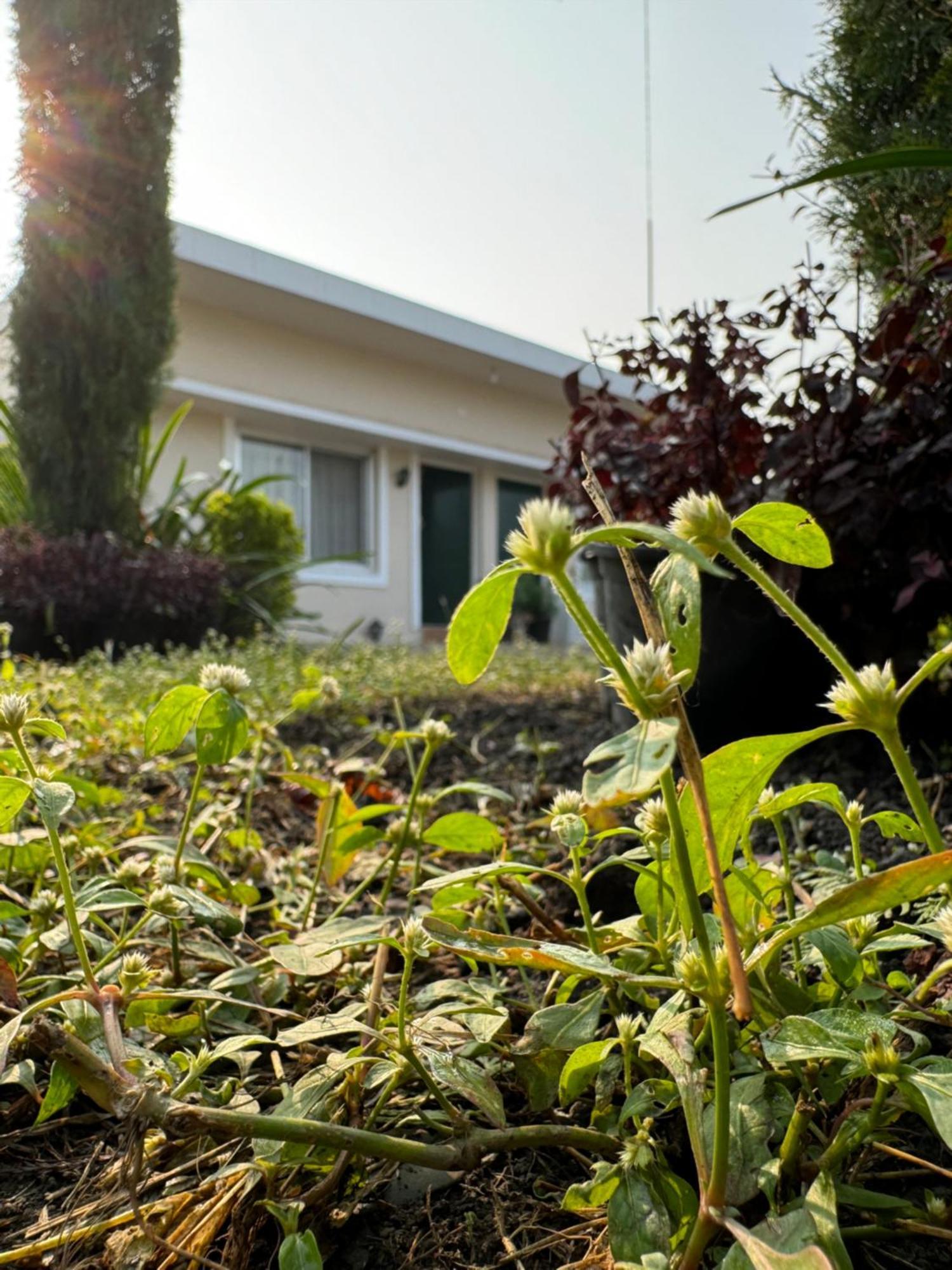 The Bougainvillea Cottage Farmstay Near Dehradun , 2 Bedroom Private Cottage Next To Fields And Orchards With Hill Views Extérieur photo