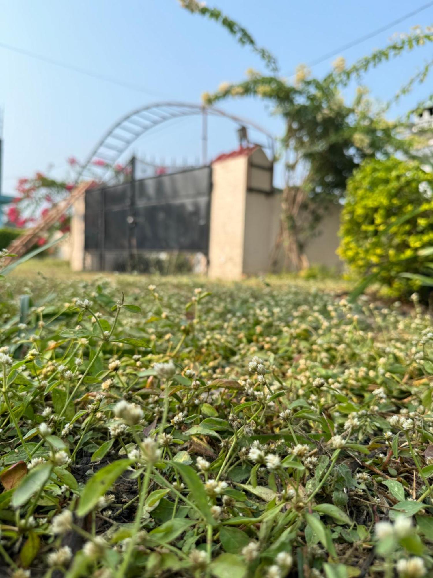 The Bougainvillea Cottage Farmstay Near Dehradun , 2 Bedroom Private Cottage Next To Fields And Orchards With Hill Views Extérieur photo